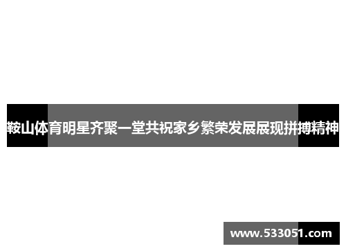 鞍山体育明星齐聚一堂共祝家乡繁荣发展展现拼搏精神