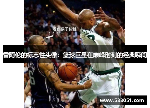雷阿伦的标志性头像：篮球巨星在巅峰时刻的经典瞬间