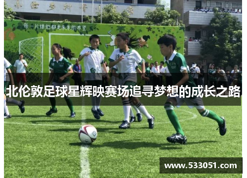 北伦敦足球星辉映赛场追寻梦想的成长之路