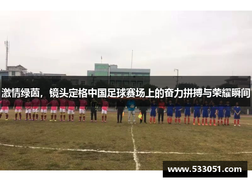 激情绿茵，镜头定格中国足球赛场上的奋力拼搏与荣耀瞬间