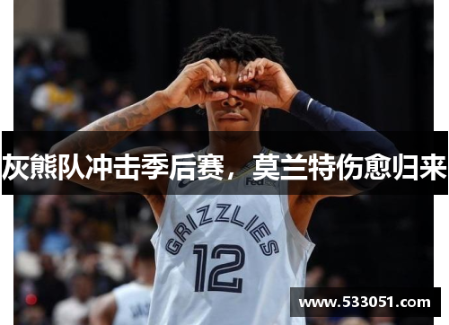 灰熊队冲击季后赛，莫兰特伤愈归来