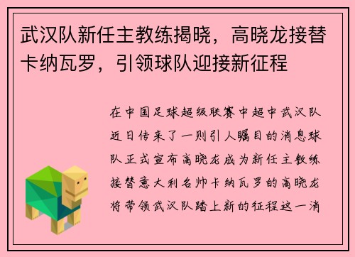 武汉队新任主教练揭晓，高晓龙接替卡纳瓦罗，引领球队迎接新征程