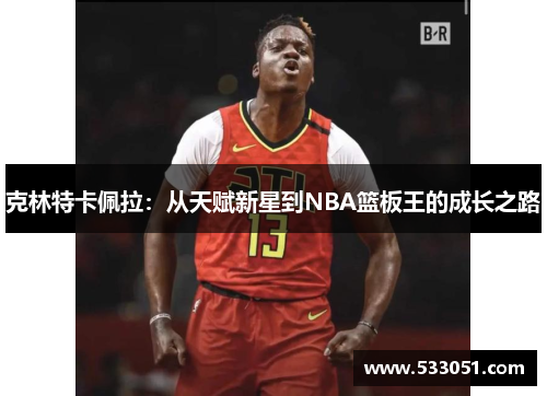 克林特卡佩拉：从天赋新星到NBA篮板王的成长之路