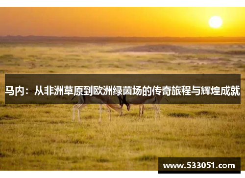 马内：从非洲草原到欧洲绿茵场的传奇旅程与辉煌成就