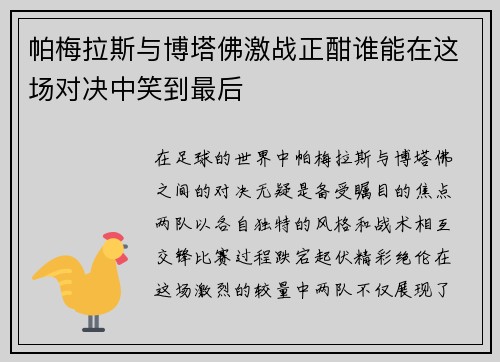帕梅拉斯与博塔佛激战正酣谁能在这场对决中笑到最后
