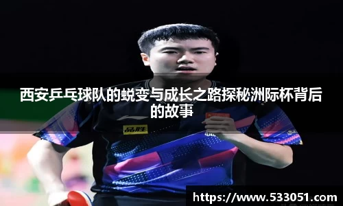西安乒乓球队的蜕变与成长之路探秘洲际杯背后的故事